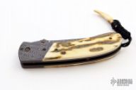 Retro Predator Backup