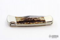 Damascus/Stag Folding Hunter