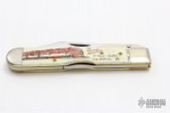 Cheetah Karst Texas Special 5of10