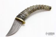 2010 Limited Edition Skinner