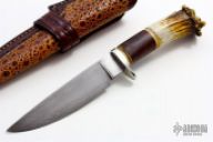 Damascus and Stag Fixed Blade