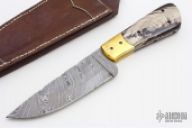 Damascus & Horn Drop Point