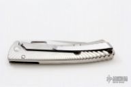 TS1 GS Shine "TiSpine"