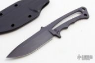 Professional Soldier