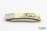 Older Slipjoint w/Scrimshaw