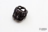 Steel Octopus Ring - Size 11.5