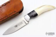 Warthog Tusk Drop Point Hunter