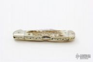 Double Action Auto Lockback