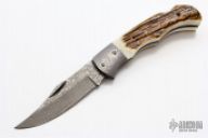 Lockback Folder Stag