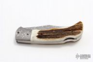 Lockback Folder Stag