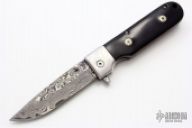 Assisted Opening Linerlock