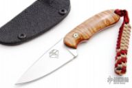 Prototype Bird and Trout