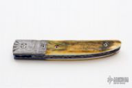 Damascus & Mammoth Ivory Folder