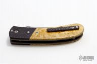 Retro Predator Backup