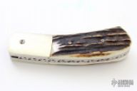 Stag Scale Release Auto