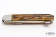 Stag Lockback Folder