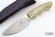 Great White with Giraffe Bone Scales