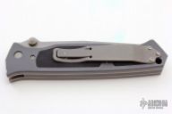 Vallotton Chameleon D/A 4/96 #349