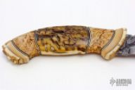 Beauty and the Beast