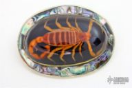 Scorpion Belt Buckle