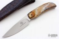 Wild Dog w/ Mammoth Tooth