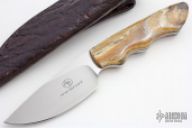 Great White with Mammoth Tooth