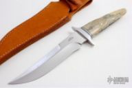 Fossilized Walrus Tusk Fighter