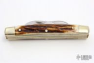 Slipjoint Multiblade Congress