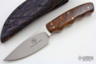 Squirrel with Desert Ironwood