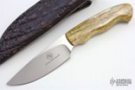 Zebra w/ Giraffe Bone