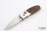 Mammoth Ivory Automatic