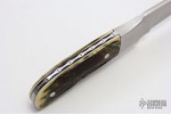 Mammoth Ivory "Black Hills Special"