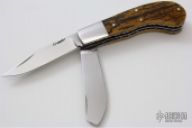 Small Saddlehorn Trapper