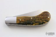 Small Saddlehorn Trapper