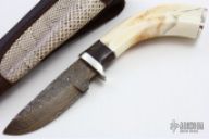 Damascus & Warthog Tusk Hunter