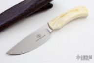 Warthog with Warthog Ivory Tusk