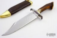 Stag Crown Bowie