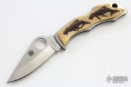 Ladybug with Scrimshaw