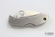 Ladybug with Scrimshaw