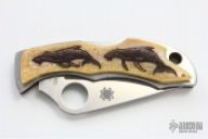 Ladybug with Scrimshaw