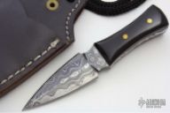 Mini Damascus Fixed Blade