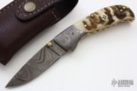 Damascus and Sheep Horn Linerlock