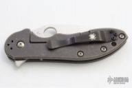 C172CFTIP Domino Flipper