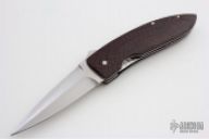 Carbon Fiber Linerlock