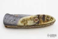 Damascus and Sheep Horn Linerlock