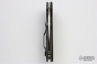 C172CFTIP Domino Flipper