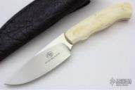 Grazer - Zebra - Warthog Ivory