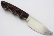 Predator - Great White - Crocodile