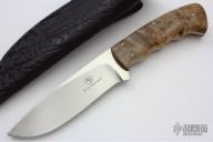 Giant - Hippo - Maple Burl