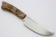 Grazer - Springbok - Spalted Maple